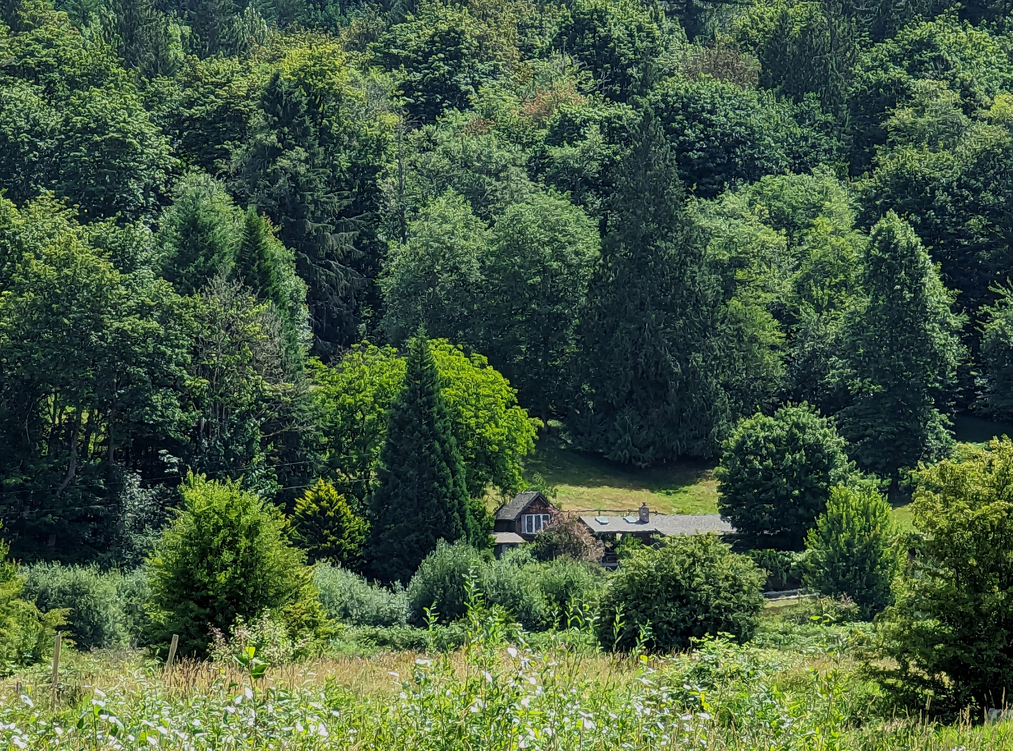 Picture of a distant farmhouse among trees.